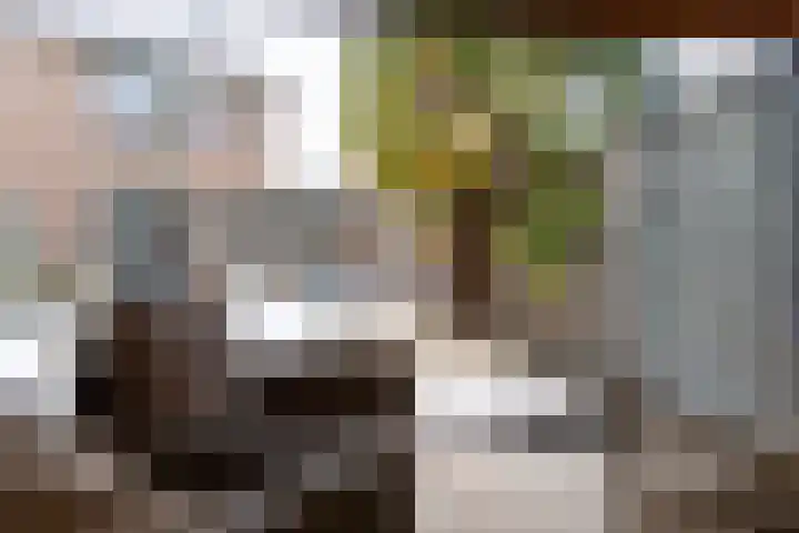 Bloemersweide 79 Gendringen thumbnail 37