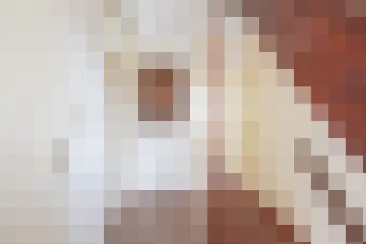 Bloemersweide 8 Gendringen thumbnail 21