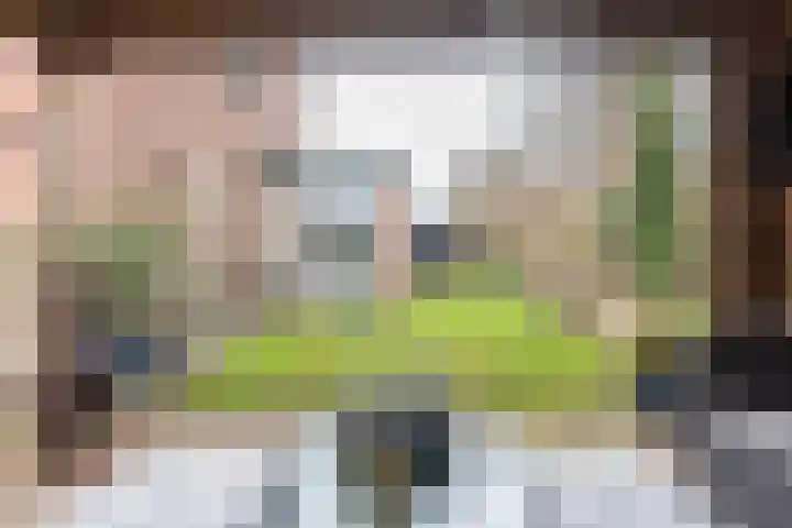 Bloemersweide 8 Gendringen thumbnail 36