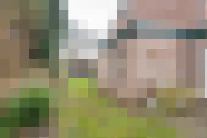 Bloemersweide 8 Gendringen thumbnail 37