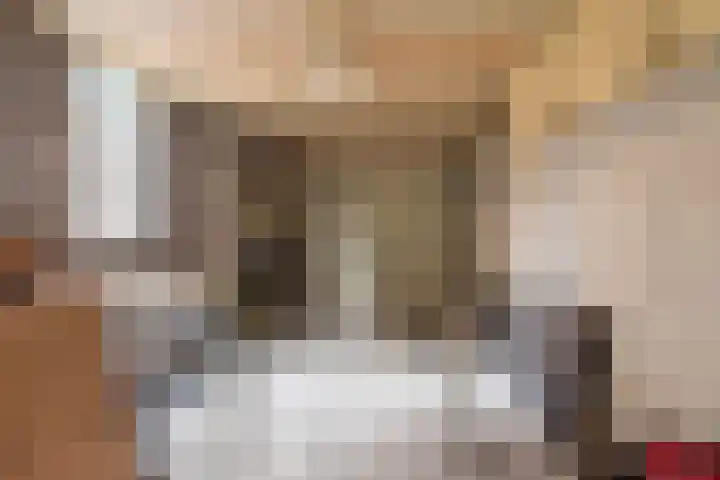 Bloemersweide 8 Gendringen thumbnail 39