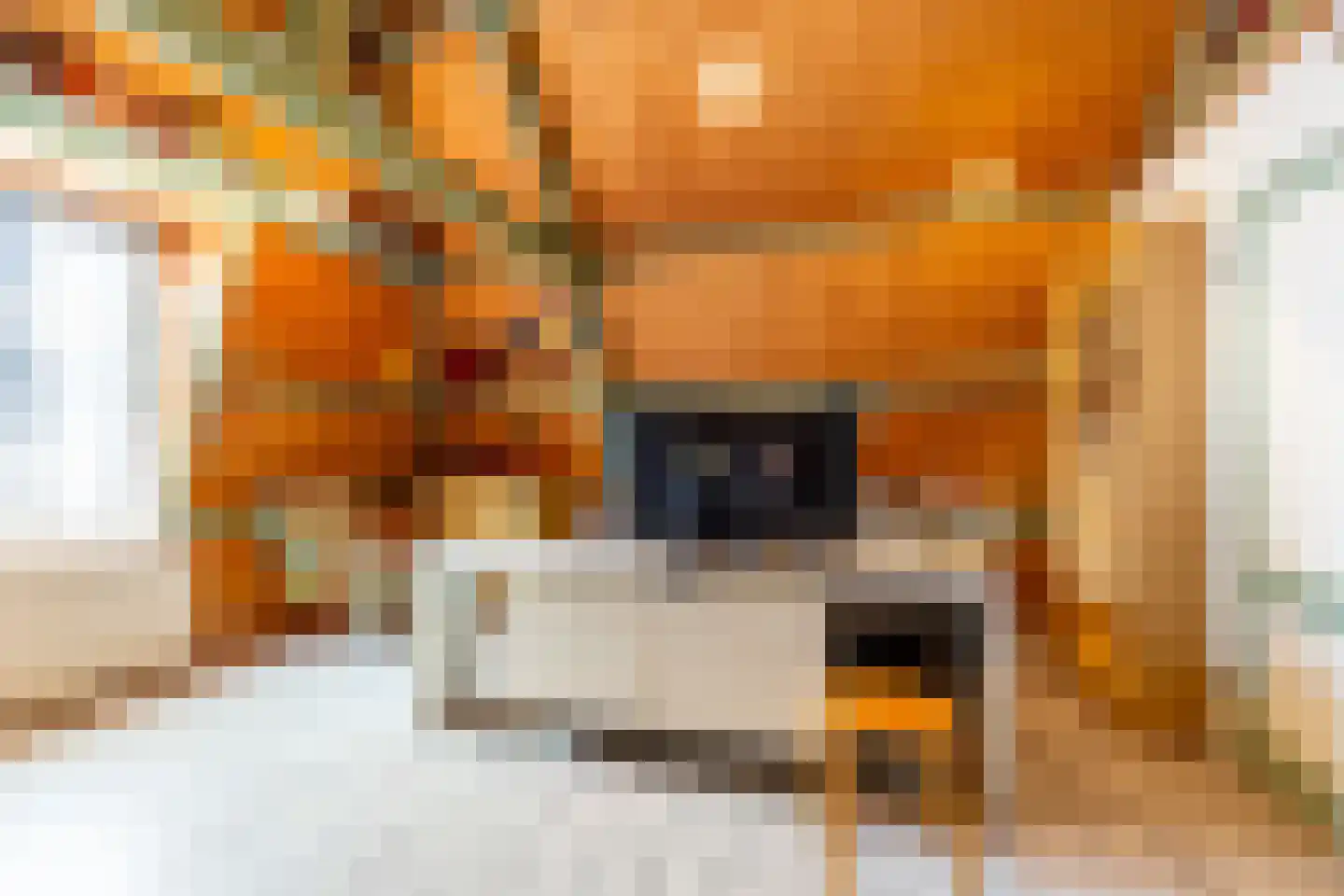 Bloemertstraat 5 Haarlem thumbnail 23