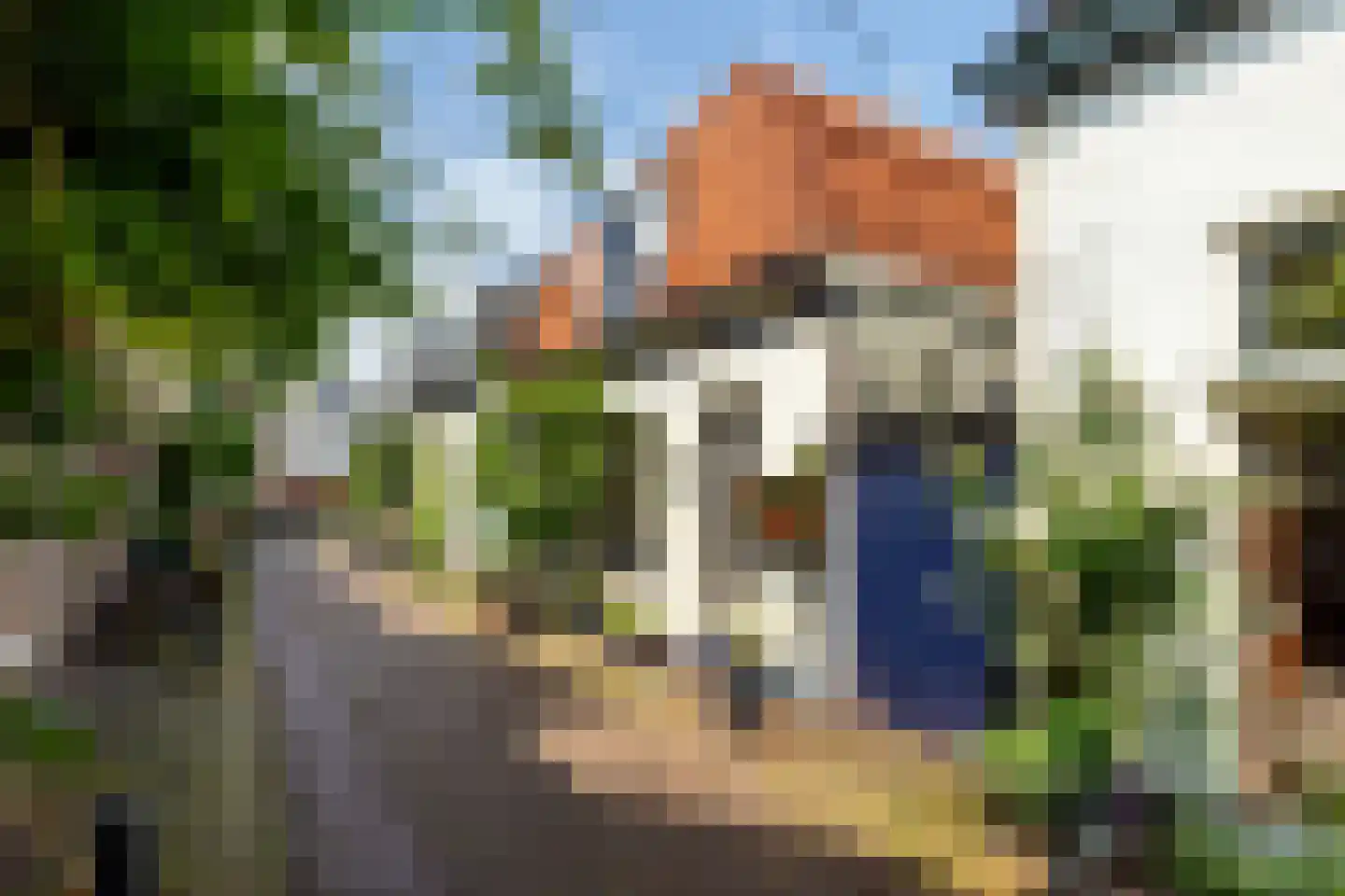 Bloemertstraat 5 Haarlem thumbnail 6