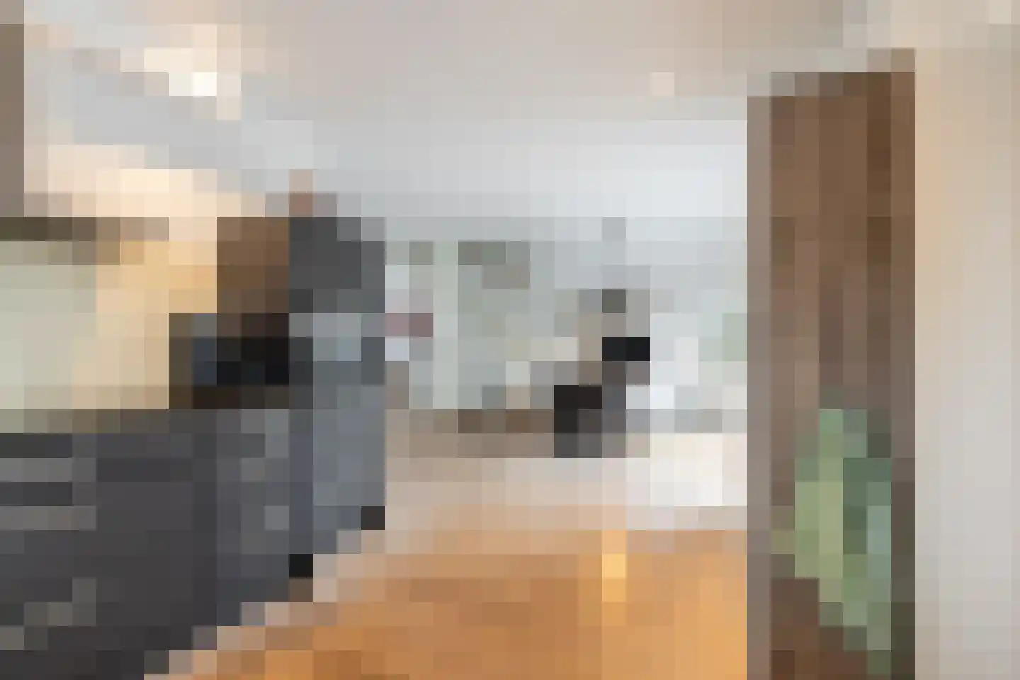 Bloemfontein 1 Purmerend thumbnail 13