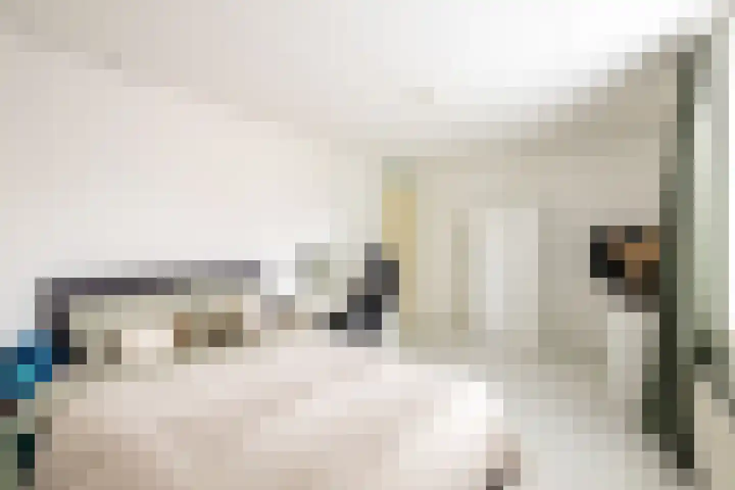 Bloemfontein 1 Purmerend thumbnail 30