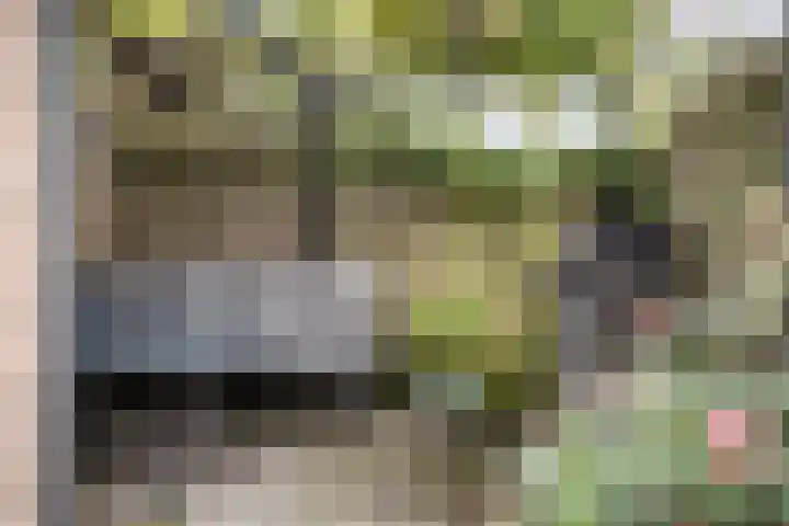 Bloemfonteinstraat 14 Haarlem thumbnail 11