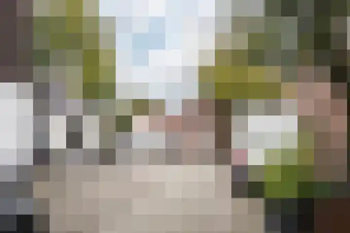Bloemfonteinstraat 14 Haarlem thumbnail 25
