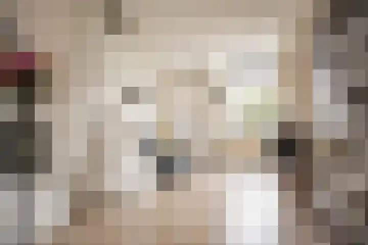 Bloemfonteinstraat 14 Haarlem thumbnail 5