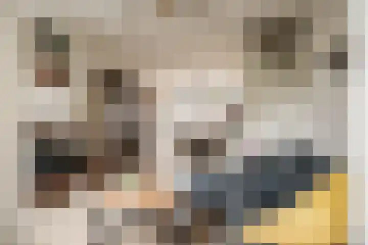 Bloemfonteinstraat 14 Haarlem thumbnail 7