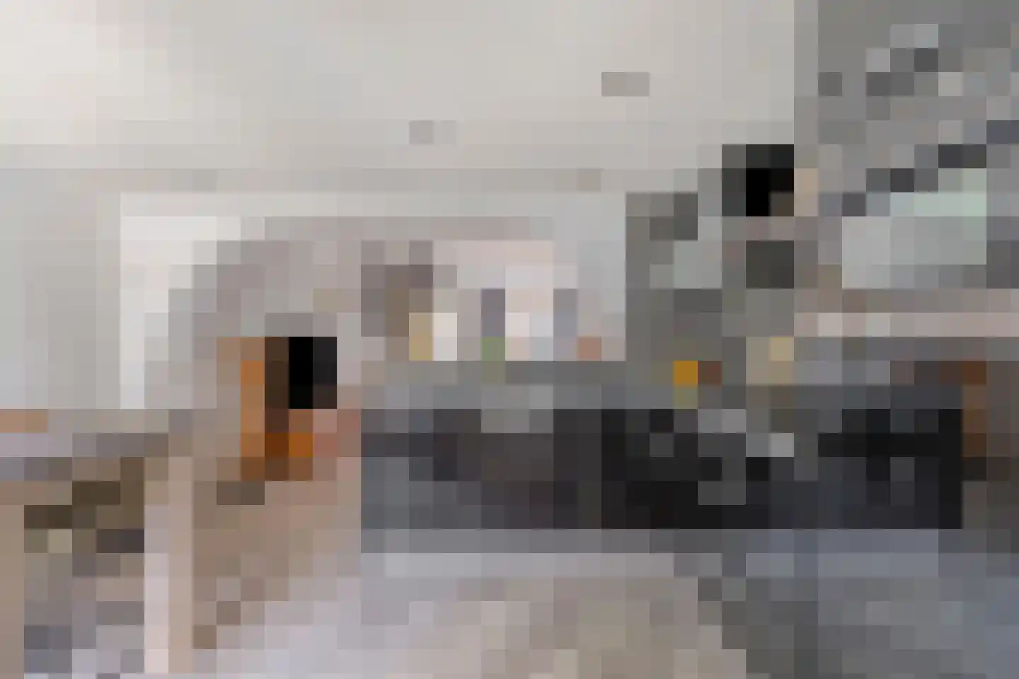 Bloemfonteinstraat 14 Tilburg thumbnail 12