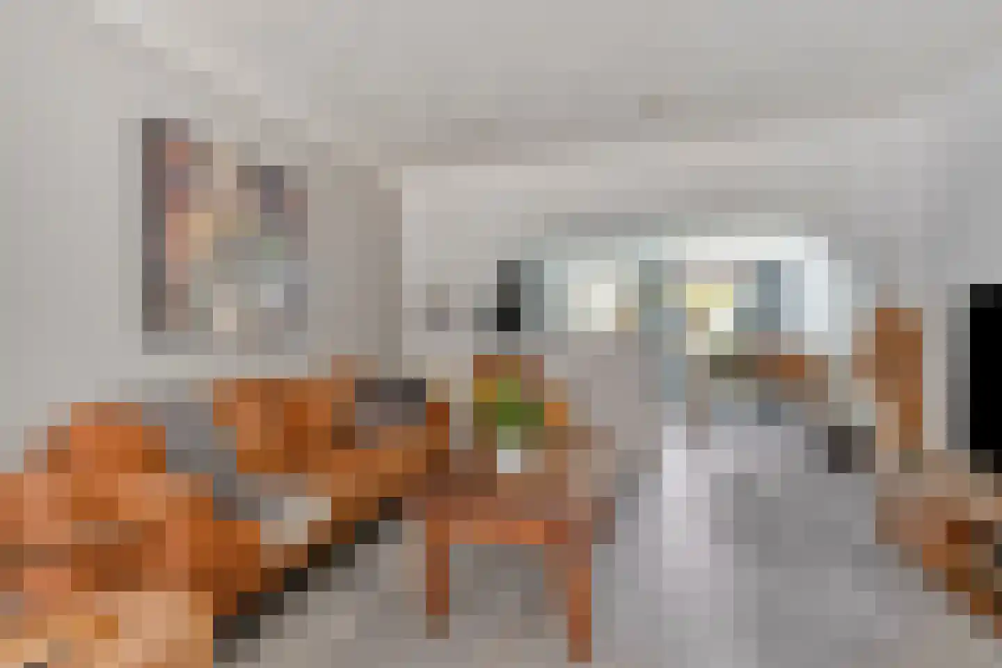 Bloemfonteinstraat 14 Tilburg thumbnail 5