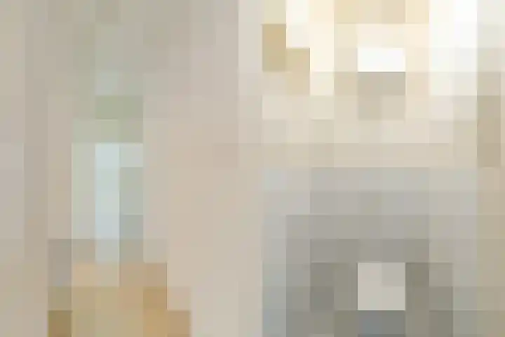 Bloemfonteinstraat 15 Den Haag thumbnail 9