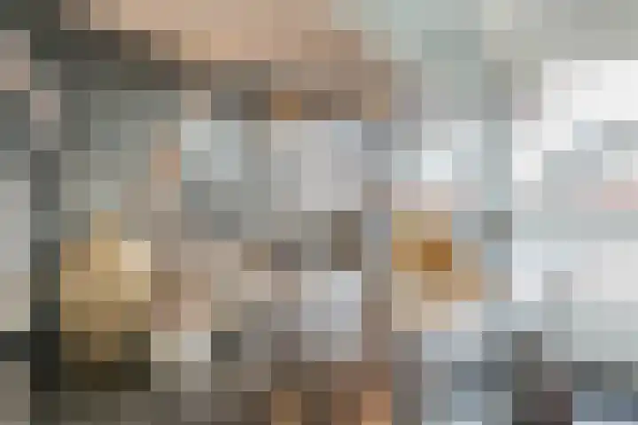 Bloemfonteinstraat 16 E Rotterdam thumbnail 23