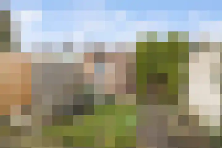 Bloemfonteinstraat 17 Tilburg thumbnail 12