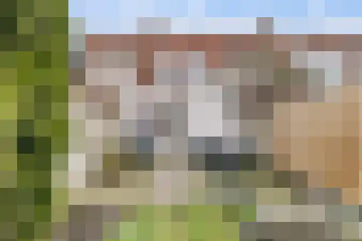 Bloemfonteinstraat 17 Tilburg thumbnail 13
