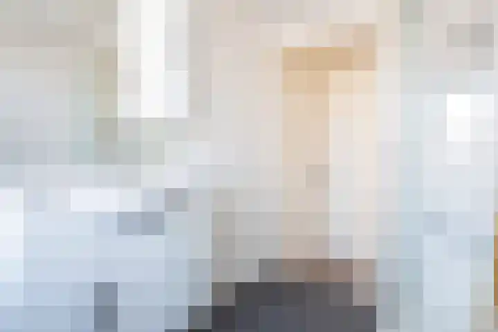 Bloemfonteinstraat 22 Tilburg thumbnail 16
