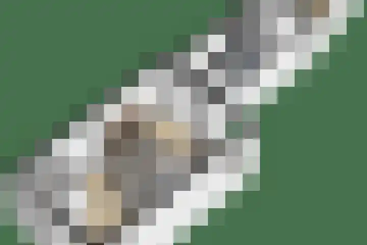 Bloemfonteinstraat 22 Tilburg thumbnail 27