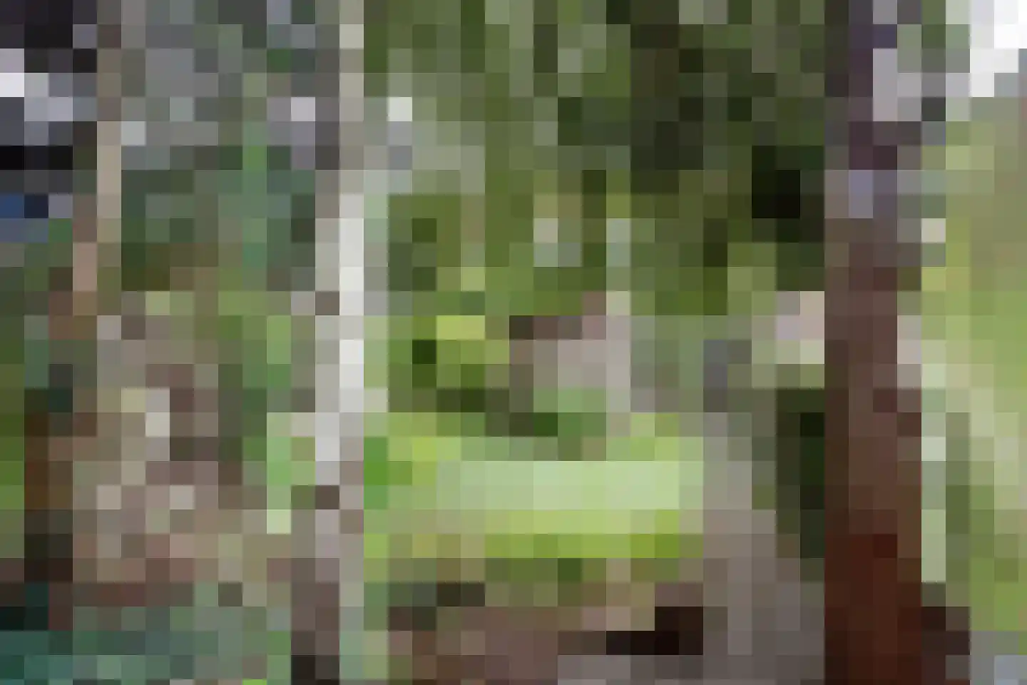 Bloemfonteinstraat 23 Tilburg thumbnail 19