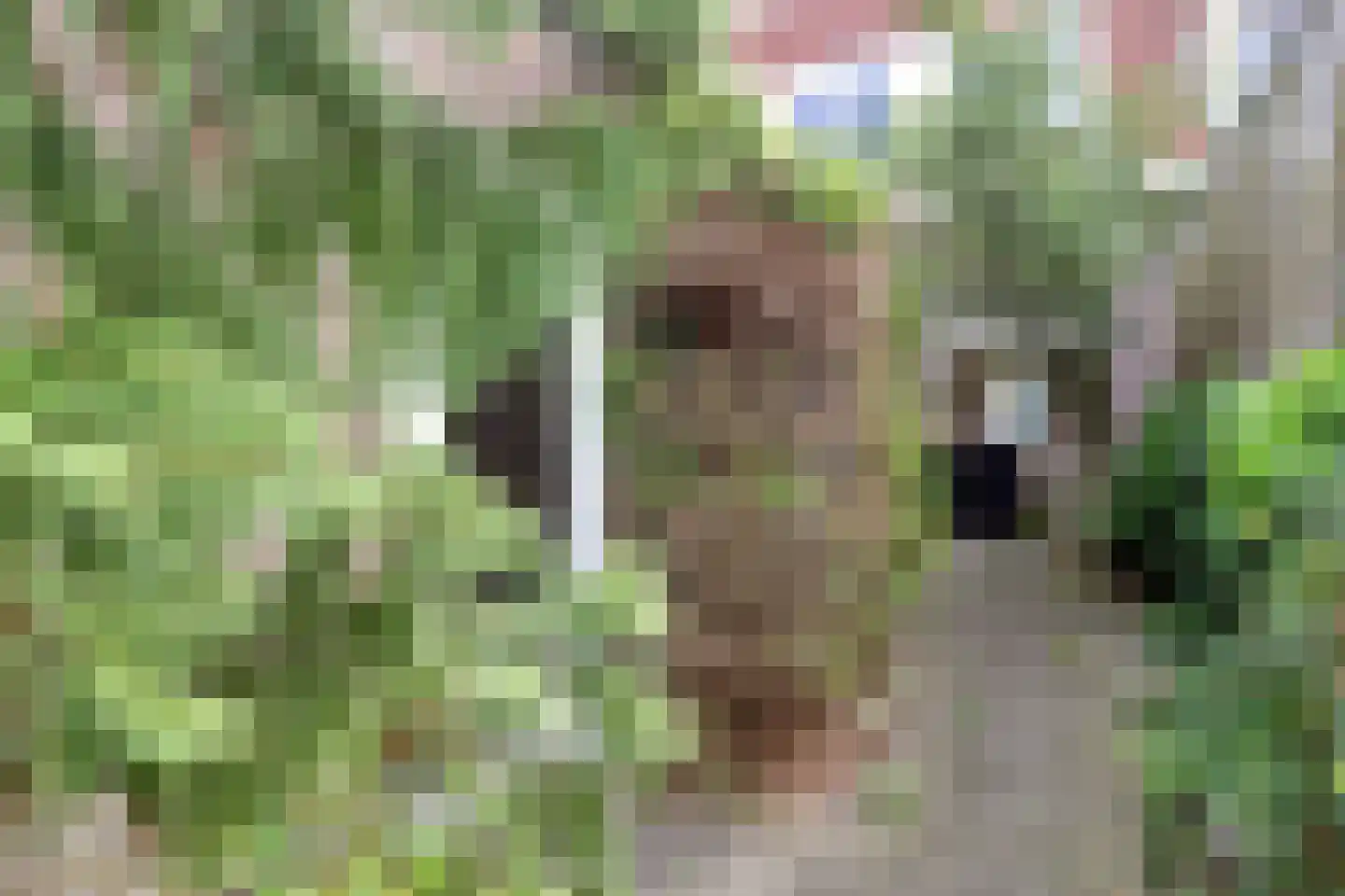 Bloemfonteinstraat 23 Tilburg thumbnail 21
