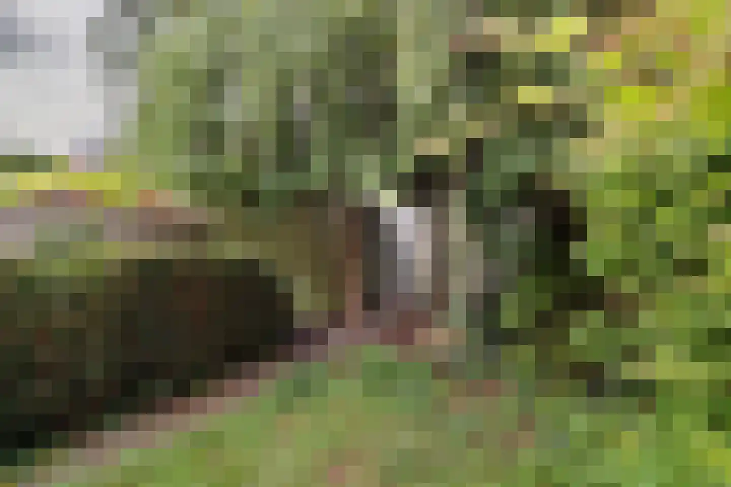 Bloemfonteinstraat 23 Tilburg thumbnail 22
