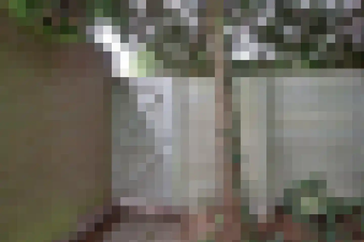 Bloemfonteinstraat 23 Tilburg thumbnail 23
