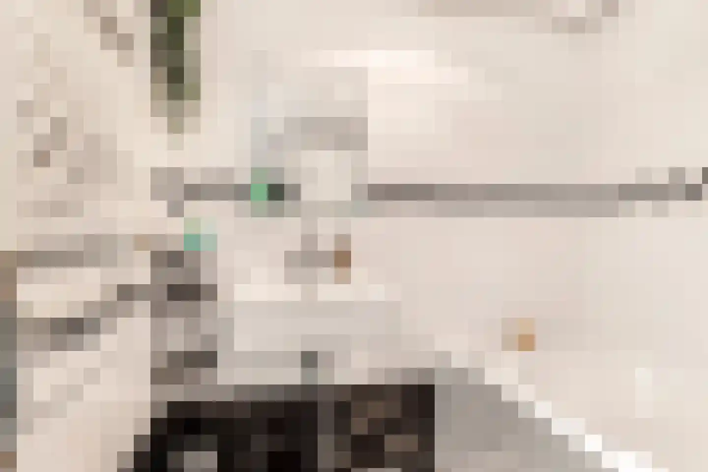 Bloemfonteinstraat 4 Haarlem thumbnail 30