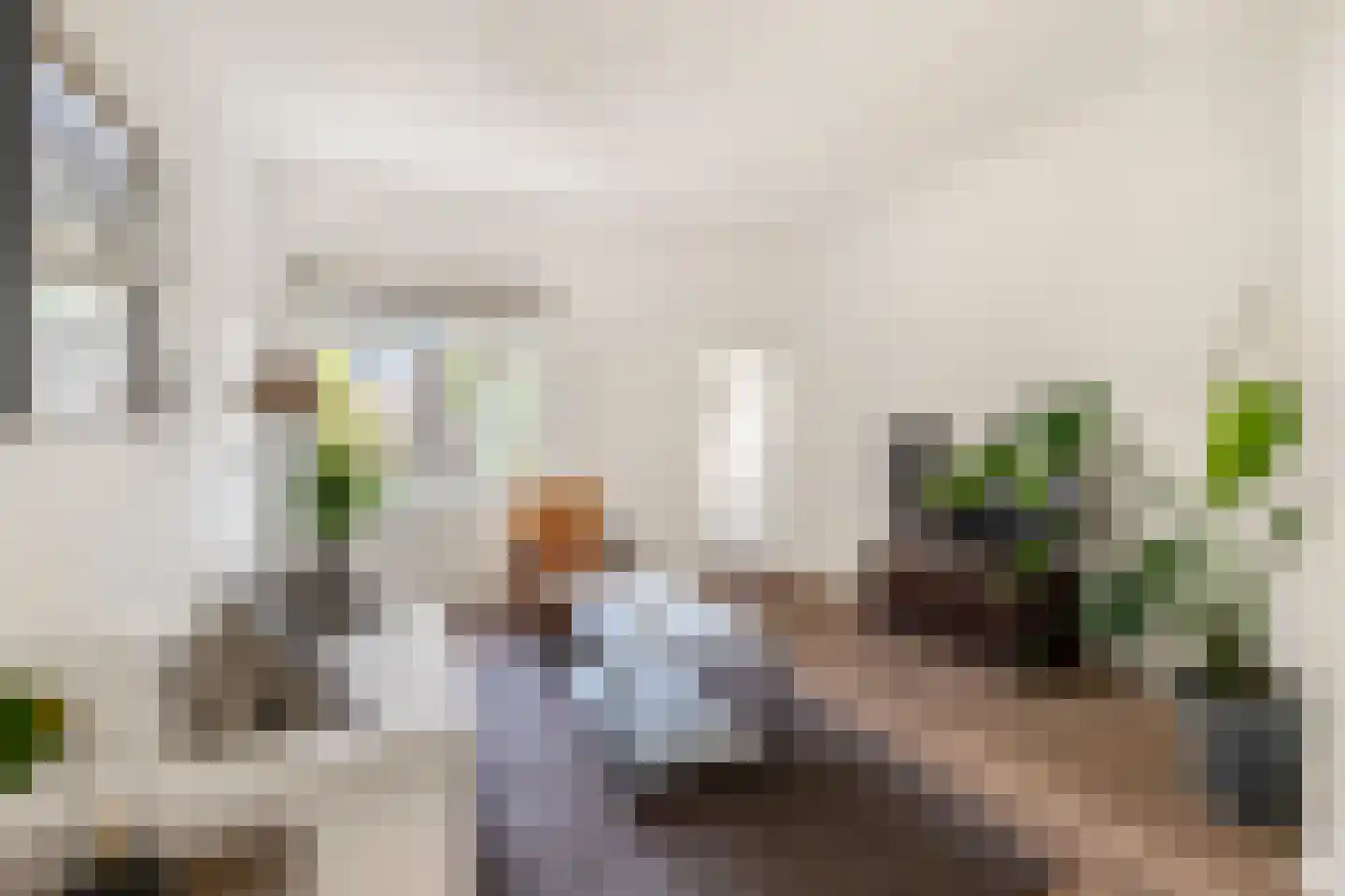 Bloemfonteinstraat 4 Haarlem thumbnail 8