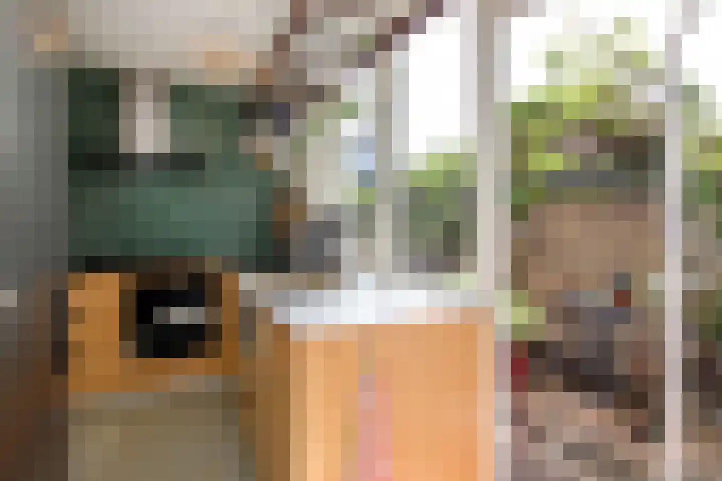 Bloemfonteinstraat 6 Haarlem thumbnail 17