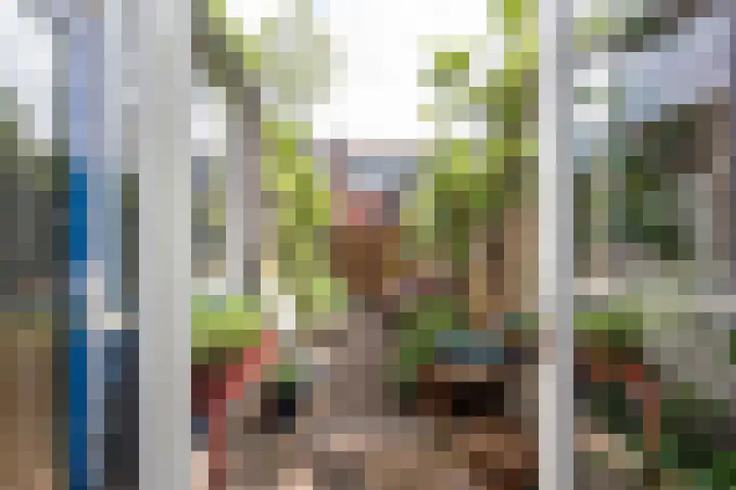 Bloemfonteinstraat 6 Haarlem thumbnail 21