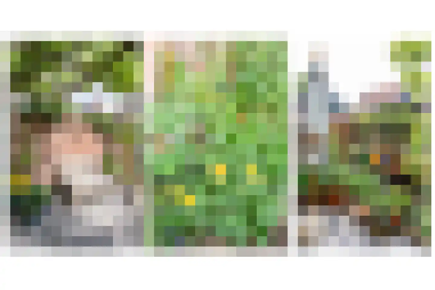 Bloemfonteinstraat 6 Haarlem thumbnail 24