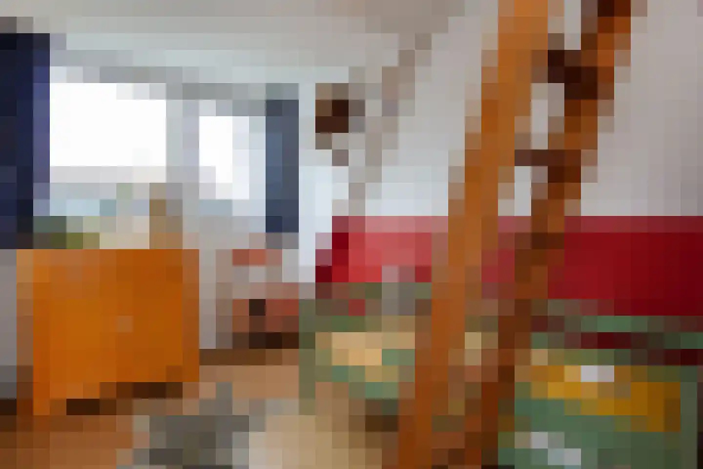 Bloemfonteinstraat 6 Haarlem thumbnail 29