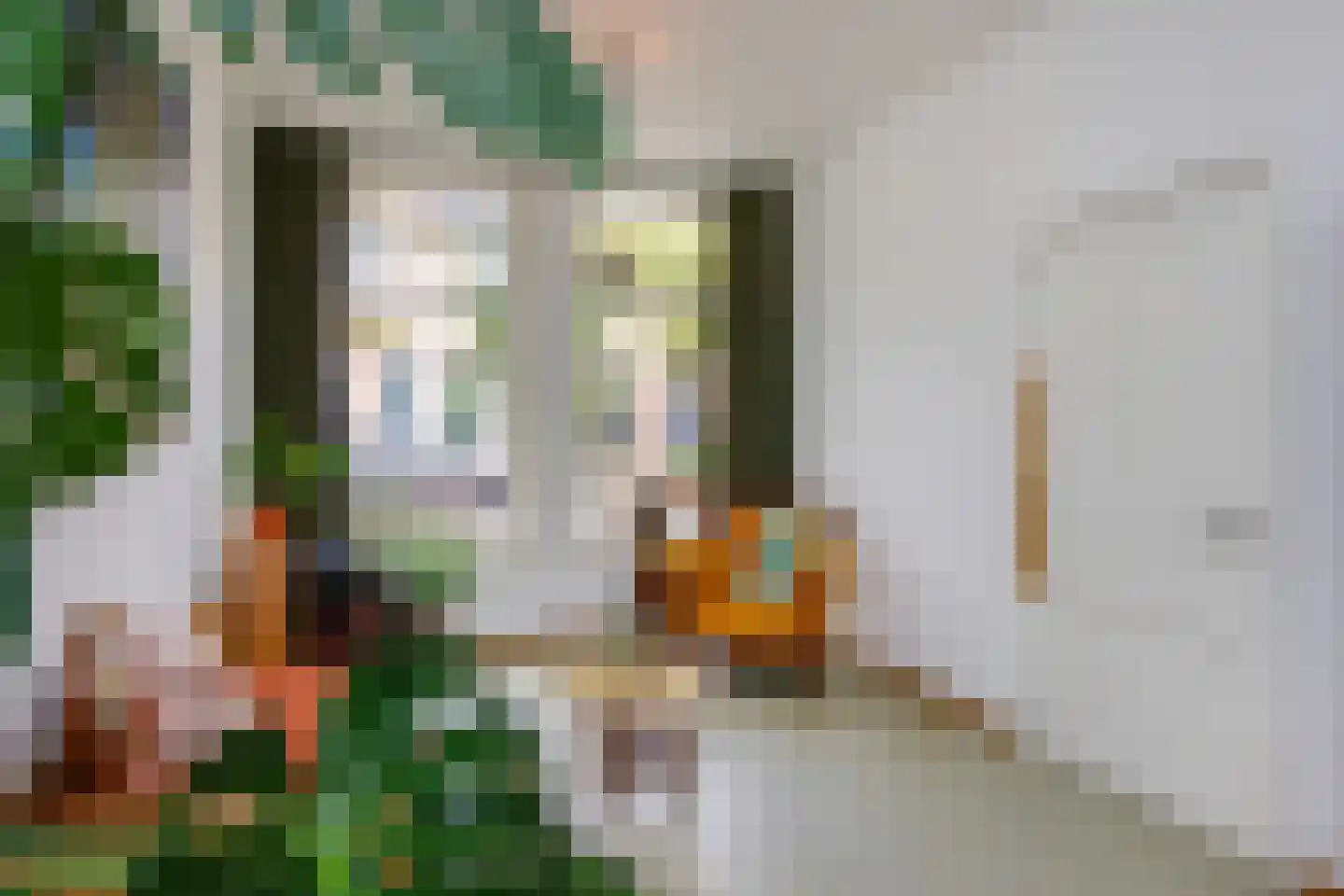 Bloemfonteinstraat 6 Haarlem thumbnail 4