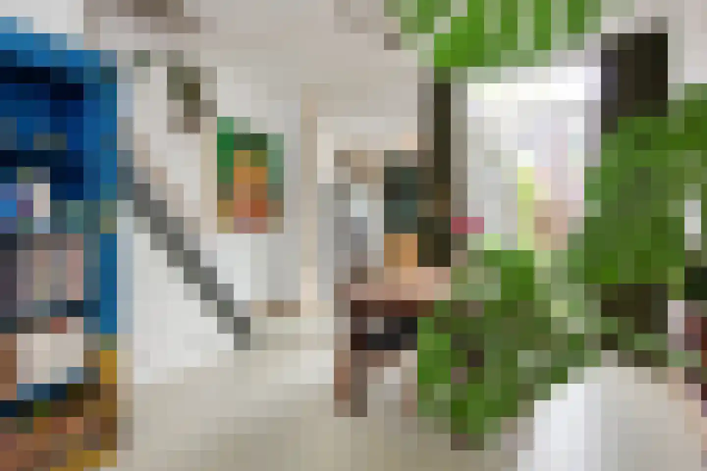 Bloemfonteinstraat 6 Haarlem thumbnail 7