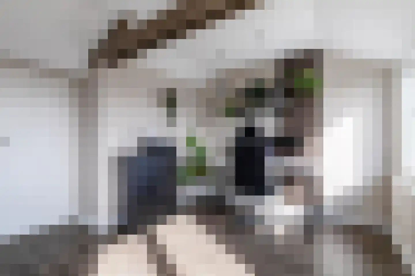 Bloemfonteinstraat 8 Tilburg thumbnail 30
