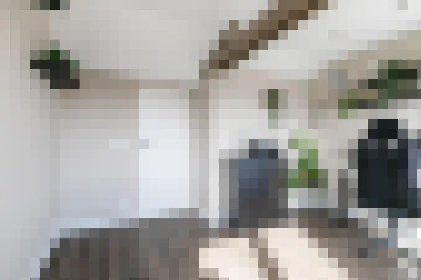 Bloemfonteinstraat 8 Tilburg thumbnail 32