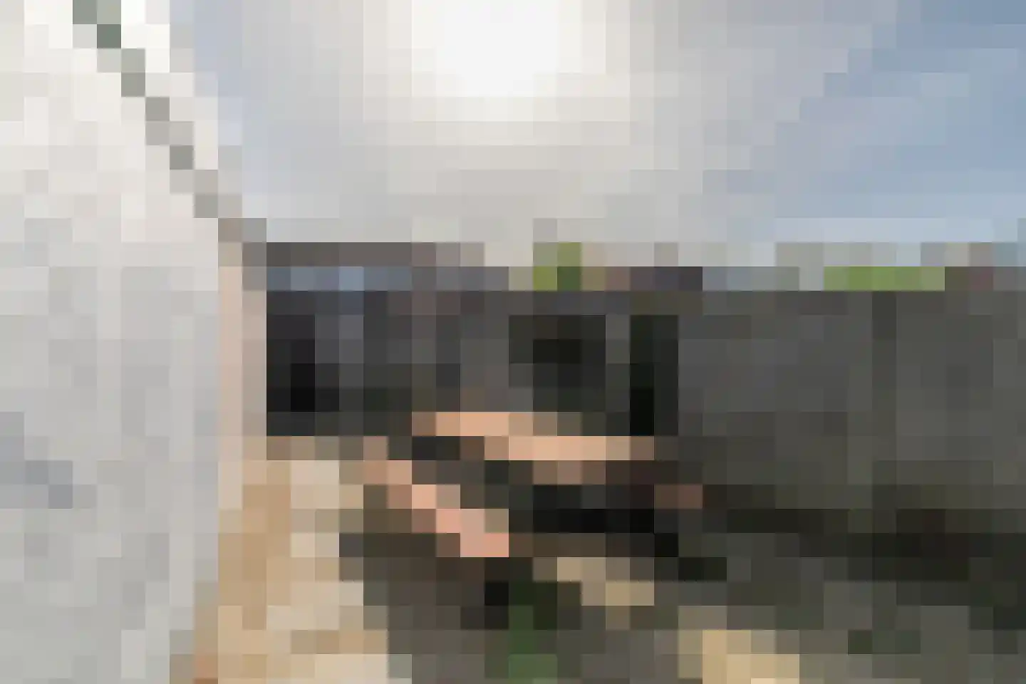 Bloemfonteinstraat 8 Tilburg thumbnail 35