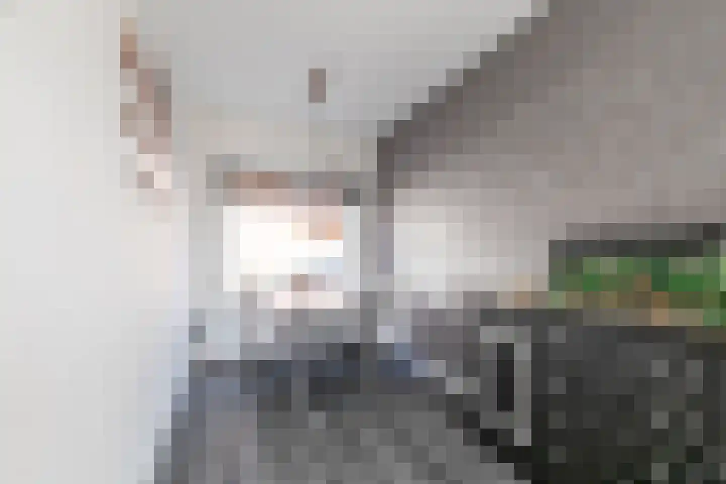 Bloemfonteinstraat 8 Tilburg thumbnail 6