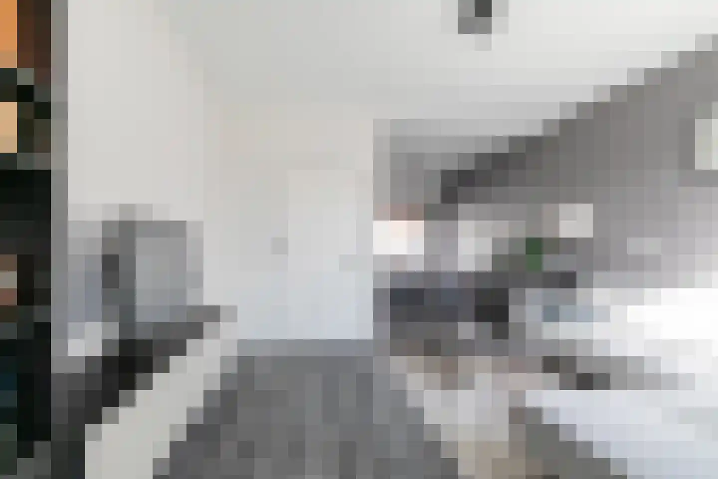 Bloemfonteinstraat 8 Tilburg thumbnail 9