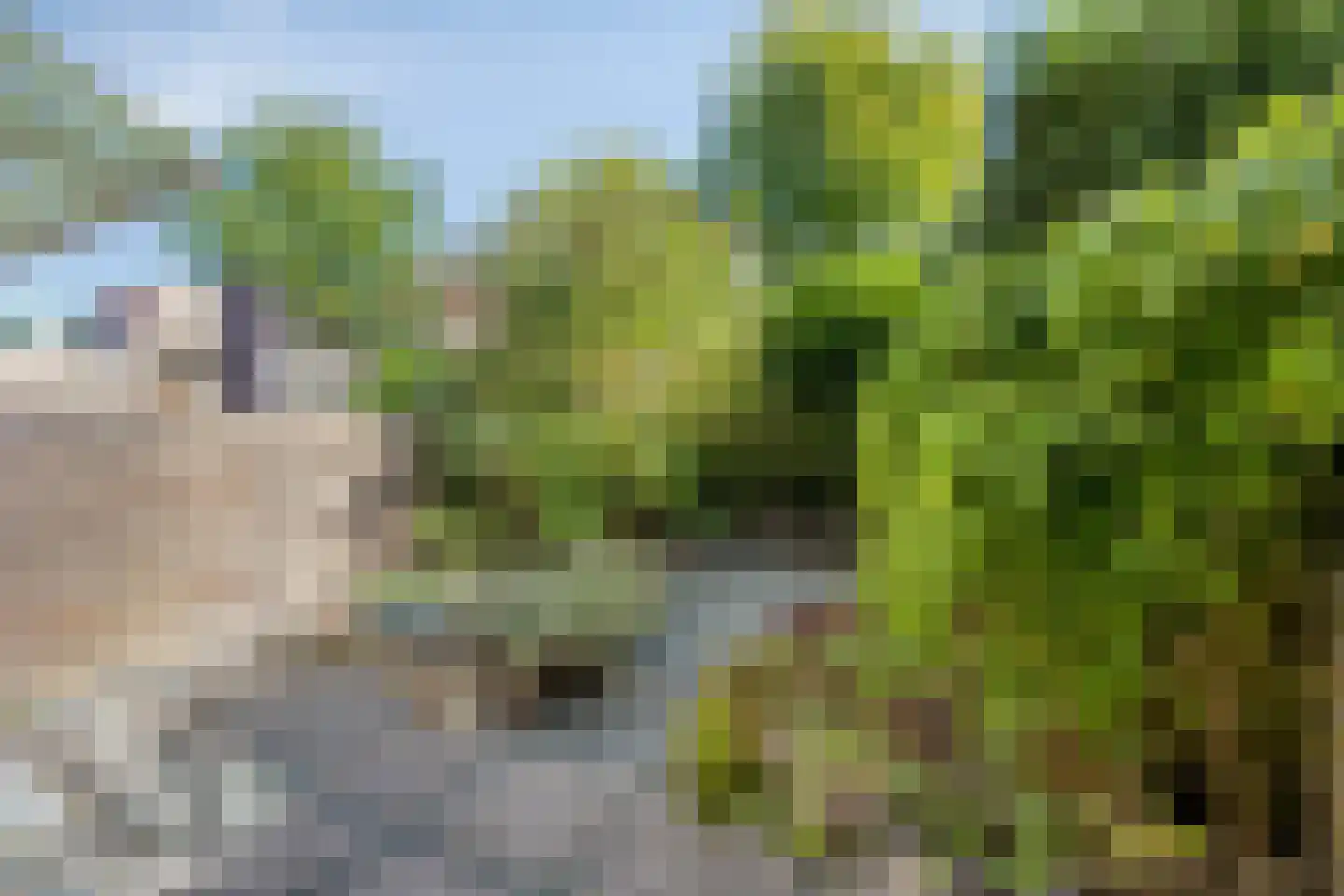 Bloemgaarde 13 Castricum thumbnail 10