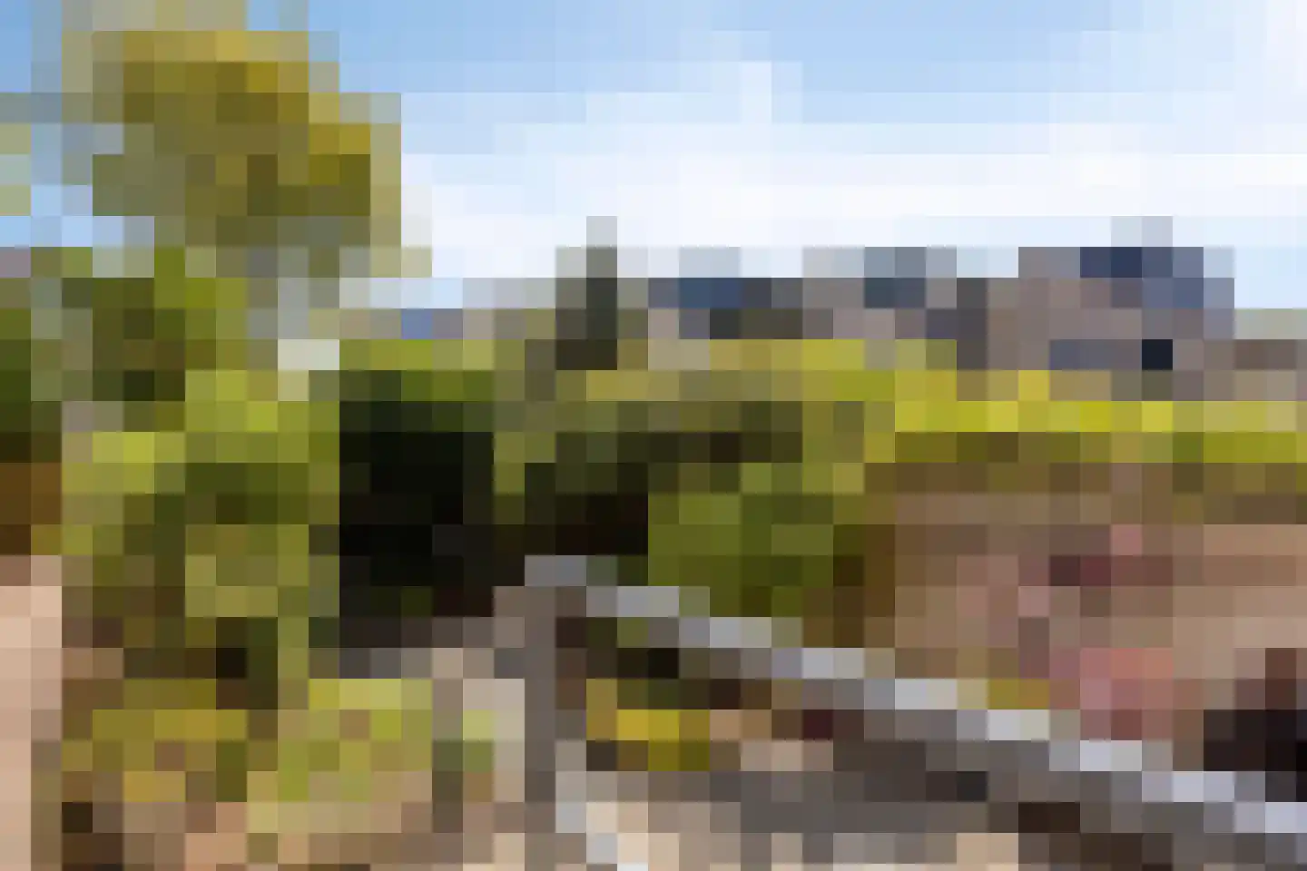 Bloemgaarde 13 Castricum thumbnail 30