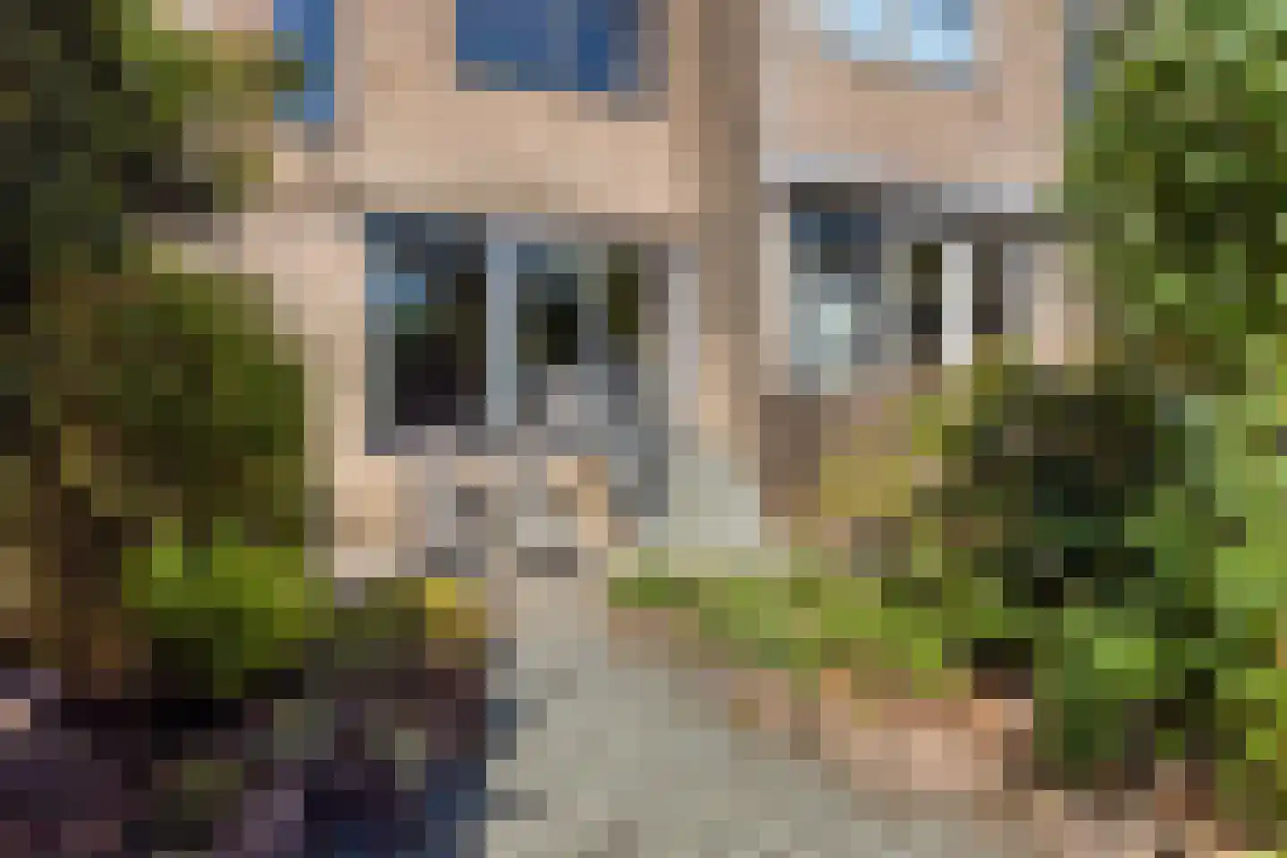 Bloemgaarde 13 Castricum thumbnail 32