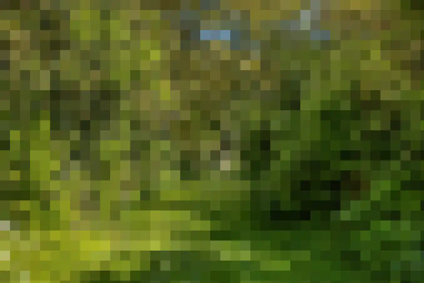 Bloemgaarde 13 Castricum thumbnail 39