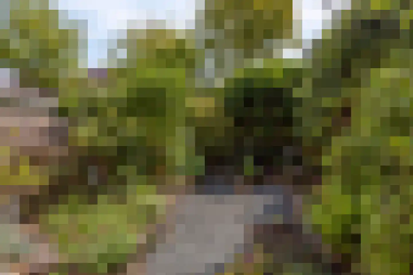 Bloemgaarde 13 Castricum thumbnail 4