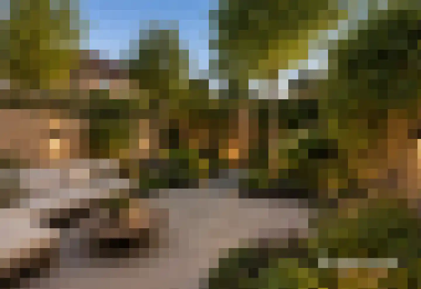 Bloemgaarde 13 Castricum thumbnail 5
