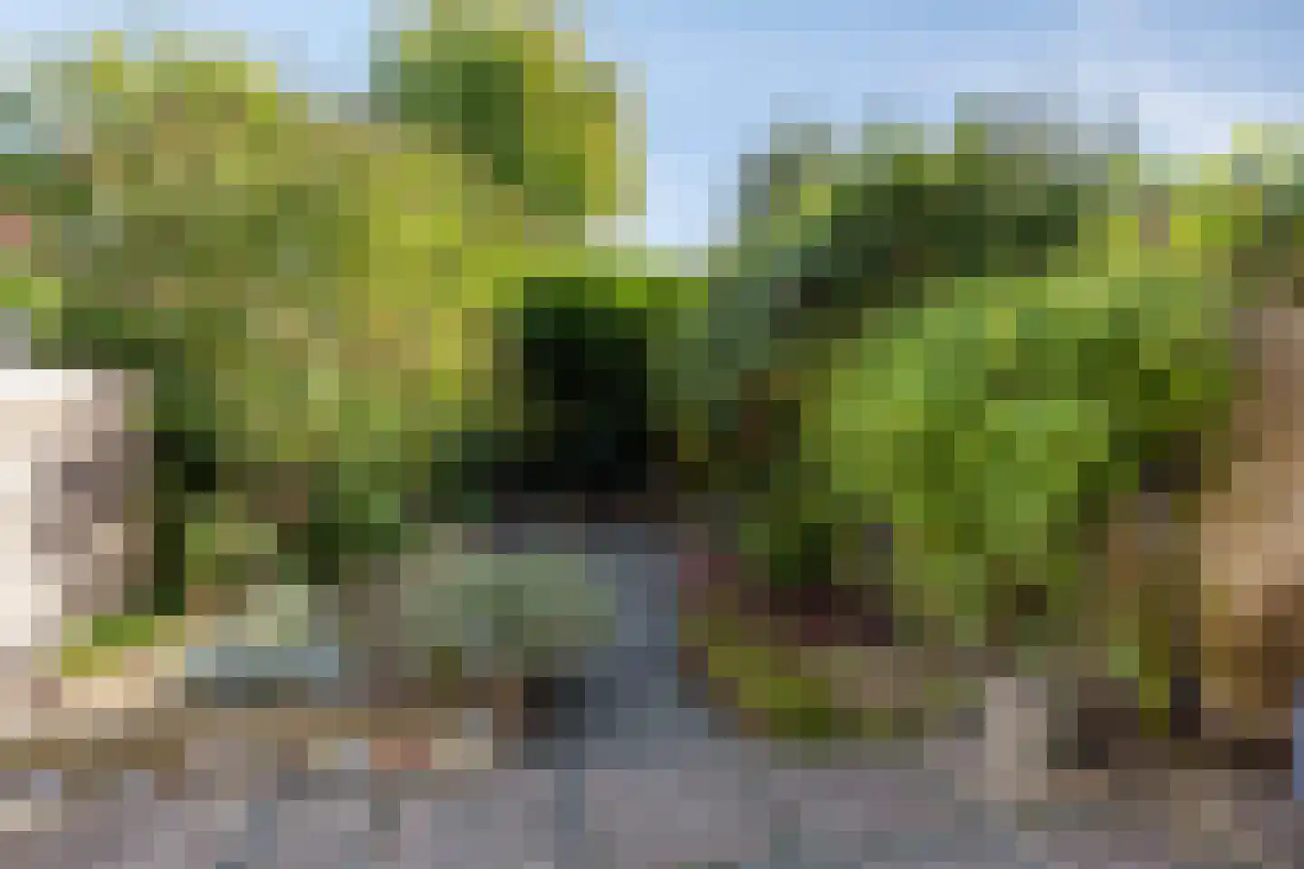 Bloemgaarde 13 Castricum thumbnail 9