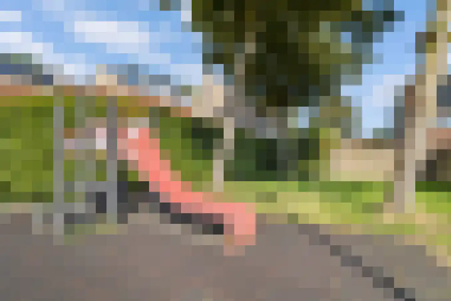 Bloemgaarde 26 Castricum thumbnail 20