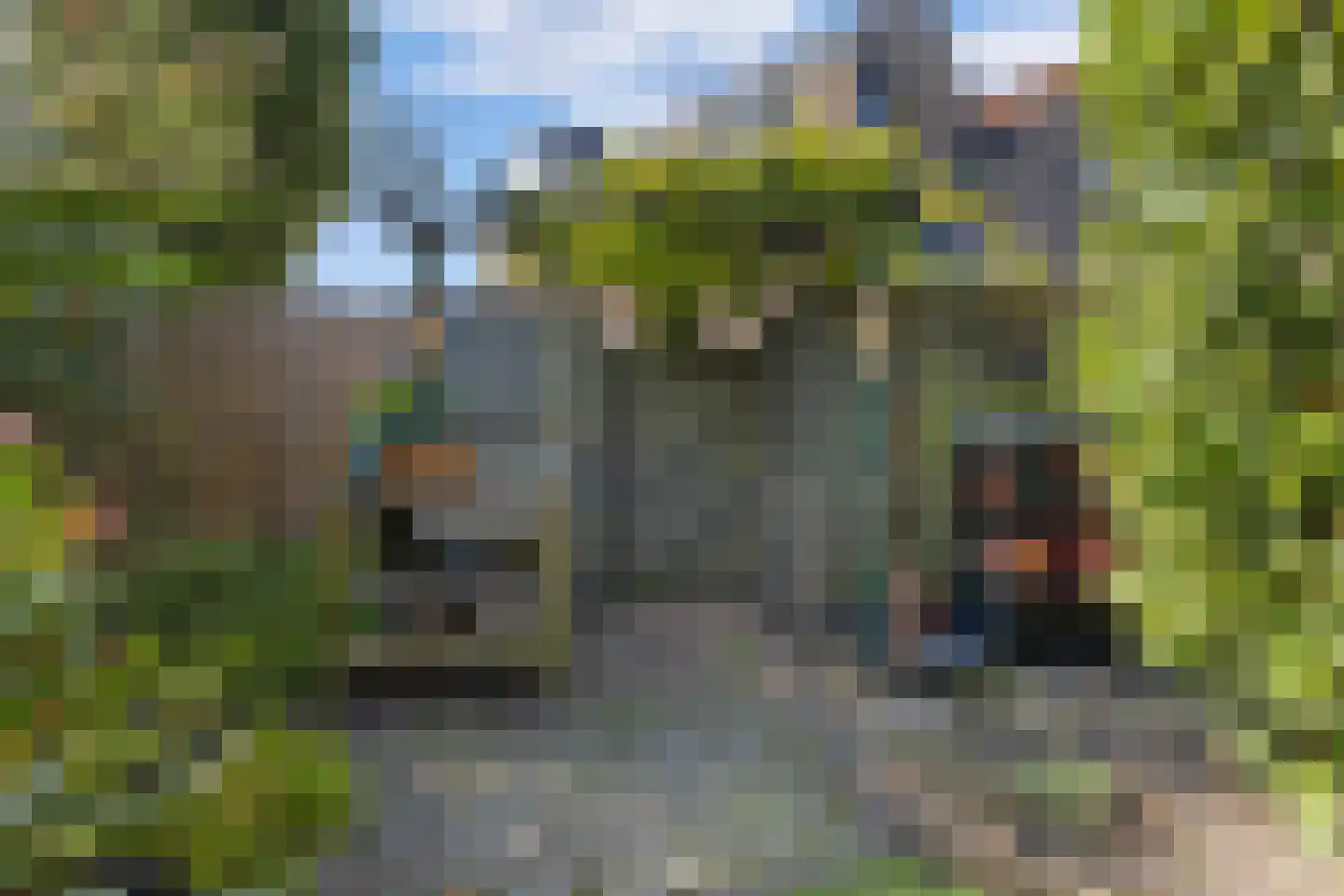 Bloemgaarde 26 Castricum thumbnail 36