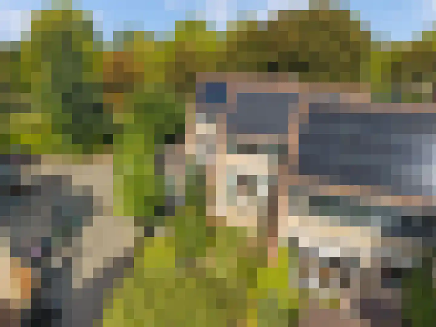 Bloemgaarde 26 Castricum thumbnail 4