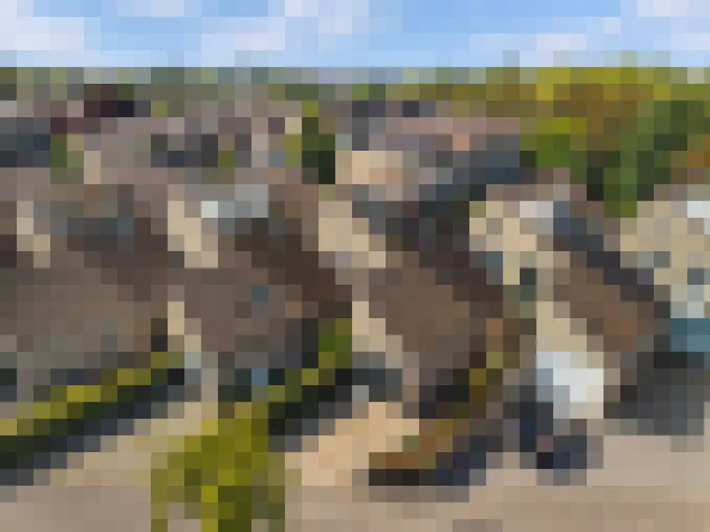 Bloemgaarde 26 Castricum thumbnail 40