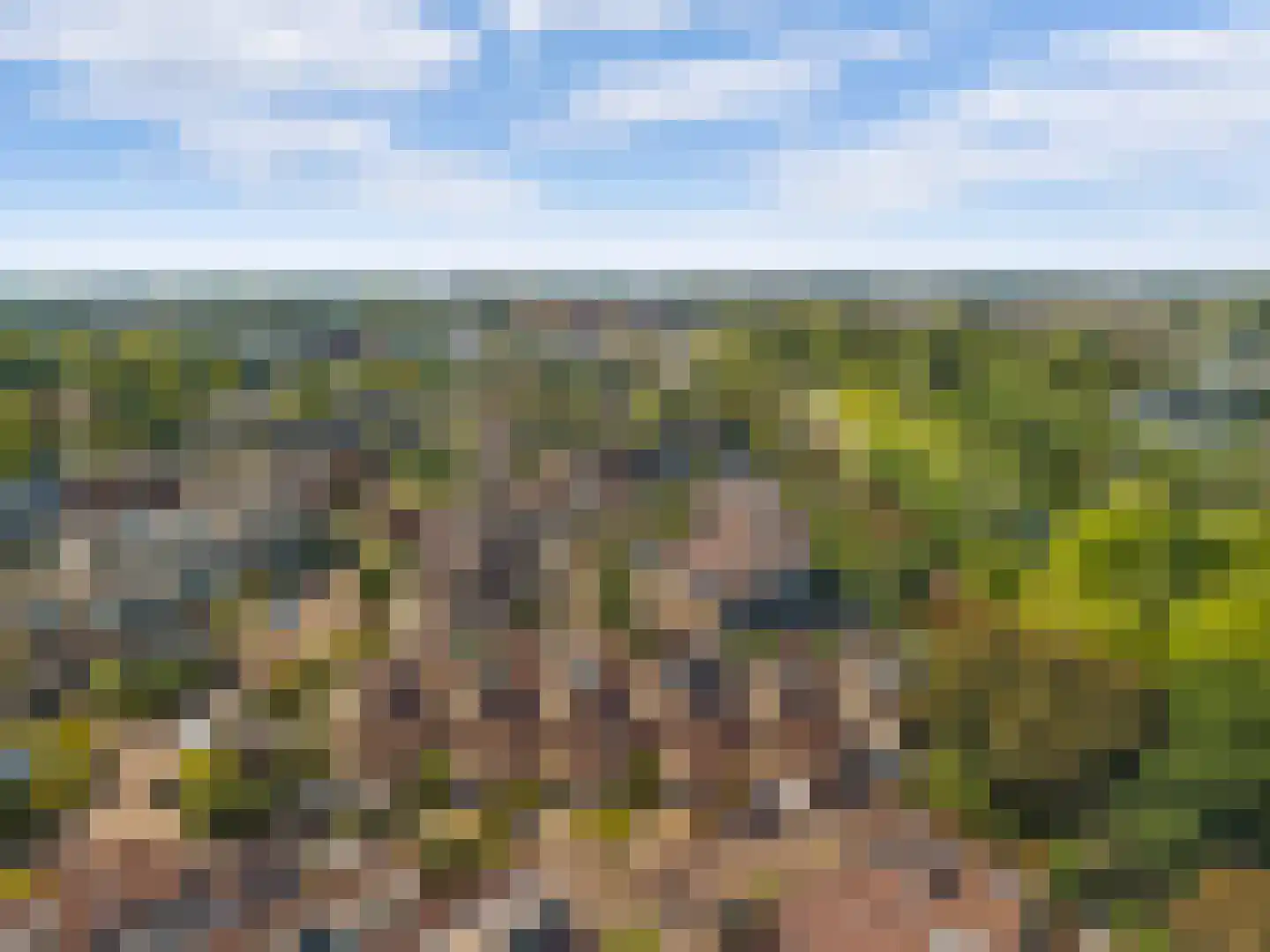 Bloemgaarde 26 Castricum thumbnail 41